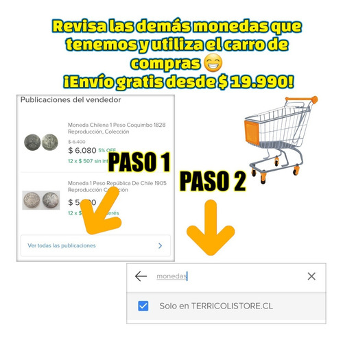 Imagen 6 de 7 de Moneda 10000 Pesos Chile 1991 Encuentro De Dos Mundos Repro