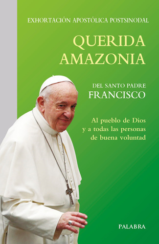 Querida Amazonia - Papa Francisco  - * 