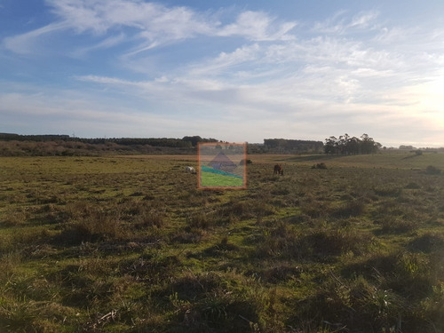 Imagen 6 de 19 de Campo 31 Hás Garzón Bajo, José Ignacio, Uruguay