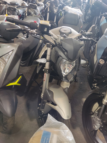 Benelli Tnt 25n Gris Plata 