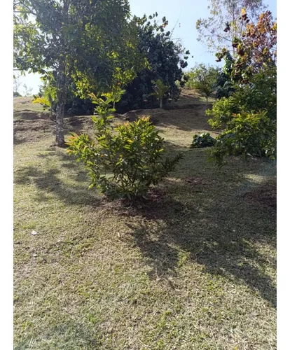 Lote Sector Las Cuchillas, Rionegro