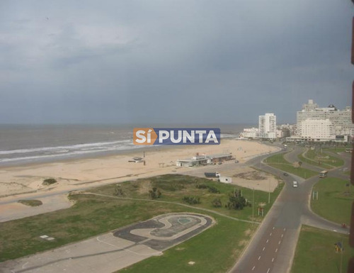 Imagen 10 de 11 de Vista A La Brava
