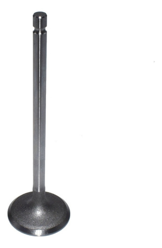 Valvula De Admision Rexv-7079 Std Gm Astra 2.4l 4 05-10