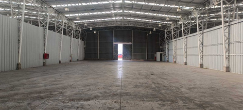 Bodega C: 540 M2 (100880)
