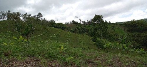 Imagen 3 de 22 de Vendo Finca Bitaco