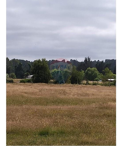 Tu Refugio Natural En Valdivia 26000 M² De Ensueño