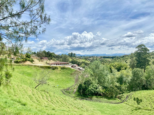 Venta Finca/lote En Rionegro Ideal Para Cultivos 47.970m2