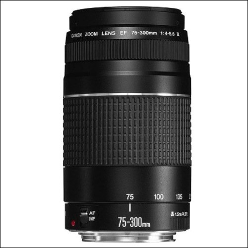 Objetivo Zoom Telefoto Canon Ef 75-300mm F/4-5.6 Iii 