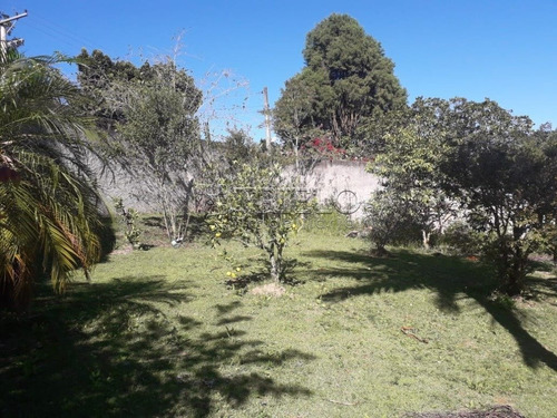 Imagem 12 de 15 de Venda Chacara -linda Chacara Com Pomar, Campo De Futebol- Mogi Das Cruzes - V-2842