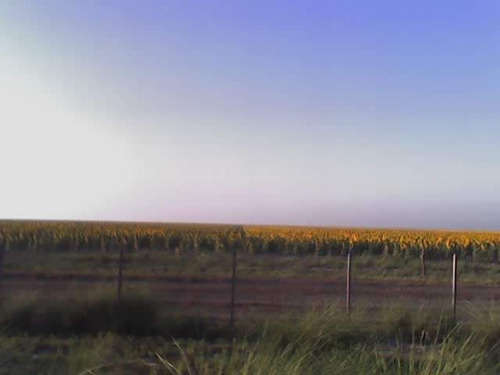 Excelente Campo Agricola  En Santiago Del Estero - 1062 Htas