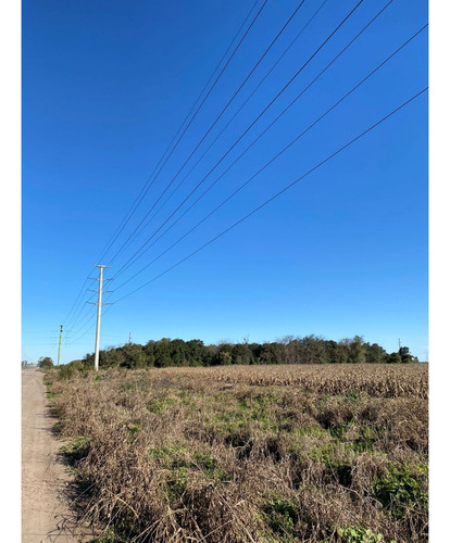 Campo Agropecuario/ Zona Industrial De 33ha Cercana A Puertos Cerealeros De Timbúes