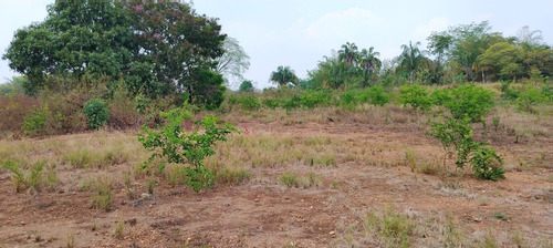 Terreno En Renta De Terreno A Pie De Carretera En Sebastopol Tuxtepec Oaxaca