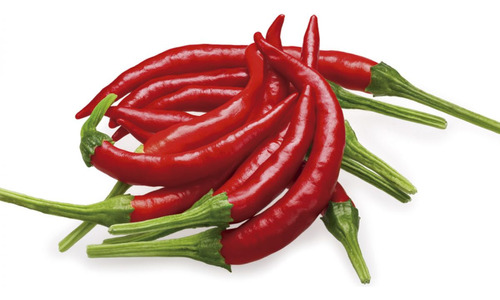 Semillas De Chile De Arbol (10 Semillas)