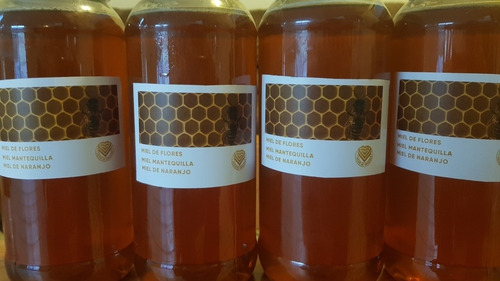 Imagen 1 de 4 de 1 Kilo 300 Gr Miel De Abeja 100% Orgánica Multiflor