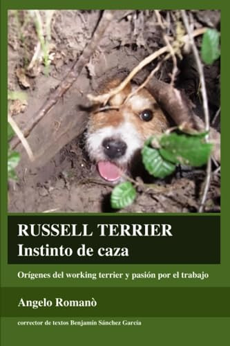 Russell Terrier - Instinto De Caza: Orígenes Del Terrier De