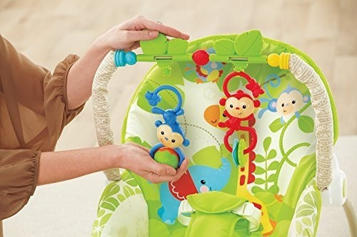 Silla Mecedora Vibradora Crece Conmigo Bouncer Fisher Price