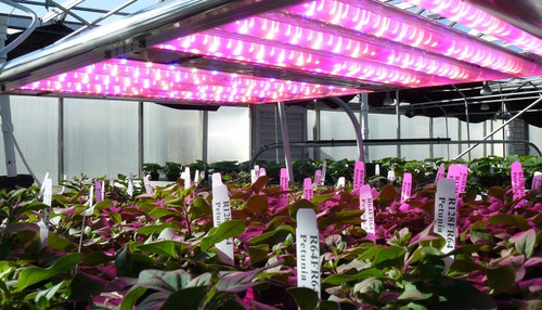 Modulo Led Indoor 35w Floracion Deepblue / Hyperred /farred