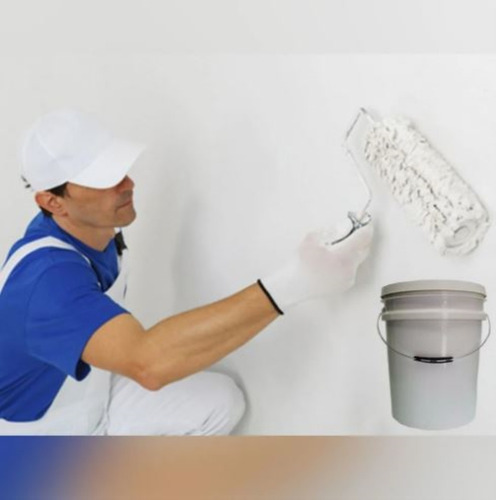 Pintura Latex Blanco Interior 20 Lts Promo Oferta