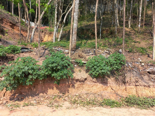 Imagem 5 de 12 de Terreno Mairiporã 800 Metros