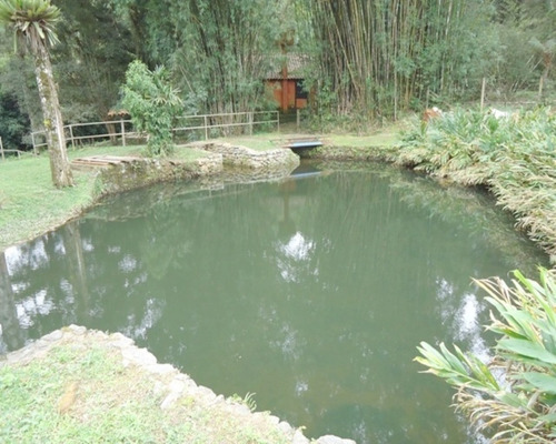Imagem 13 de 30 de Sítio À Venda Em São Lourenço Da Serra! - 51 - 32982555