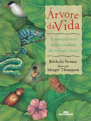 Árvore Da Vida: A Inacreditável Biodiversedade Da Vida Na Terra, De Rochelle Strauss. Editora Melhoramentos, Edição 1 Em Português, 2015