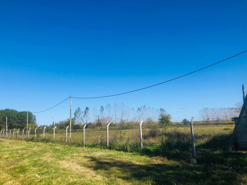 Imagen 6 de 9 de Terreno Comercial En Venta Acceso Estancias-pilara