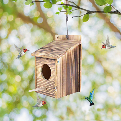 Caja De Dormir De Cría De Nido De Pájaro De Loro