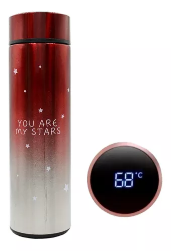 Pantalla digital de temperatura de Acero Inoxidable La botella de