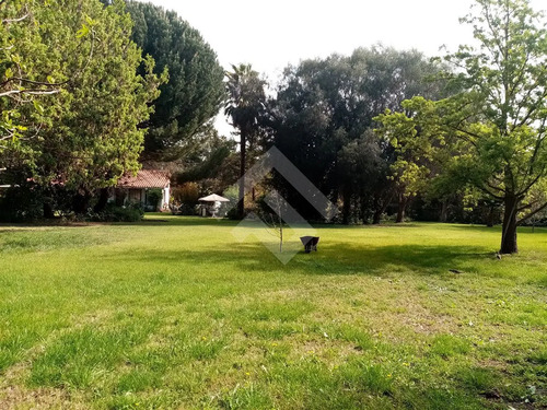 Parcela Con Casa 3d 2b Piscina Terraza Arriendo En Talagante
