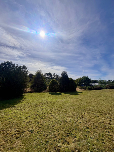 1 Hectárea Con Casa De 262m2 (91012)