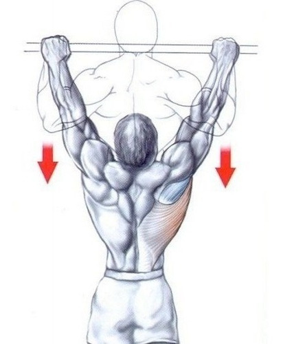 Barra Fixa De Parede Crossfit Pull-up Modelo Externo Interno