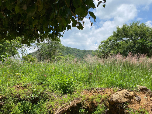 Terreno Residencial En Venta En Fraccionamiento La Herradura