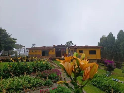Finca Para La Venta En El Occidente Via San Cristobal