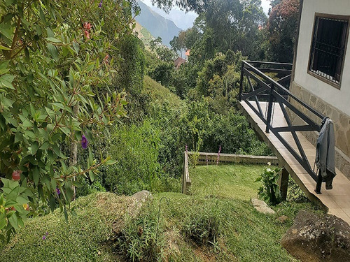 Terreno En La Colonia Tovar, Sector El Paují (cerca De La Casa Del Árbol) Tg