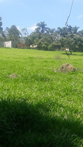 Sítio 3 Hectares Com Nascente, 2 Casas E 3 Chalés