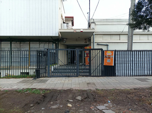 Planta Libre. Santa Elena. Maule. Metro Ñuble (177790)