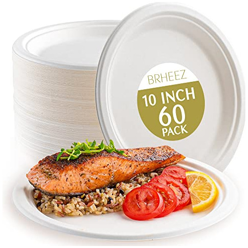 10 In. Disposable Plates Paper Plates Alternative Compo...