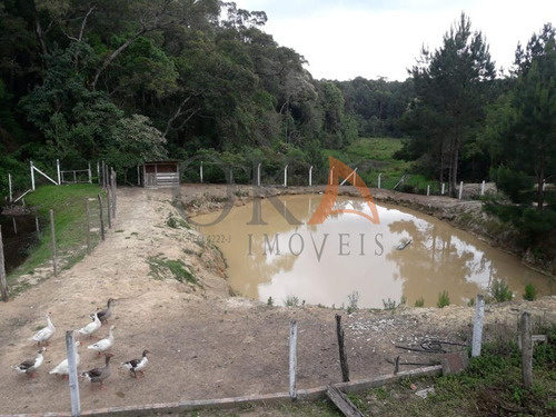 Chácara 4.000m², 02 Casas, Tanque De Peixe, Em Campestrinho - Mandirituba/pr. - Cha007 - 68995278