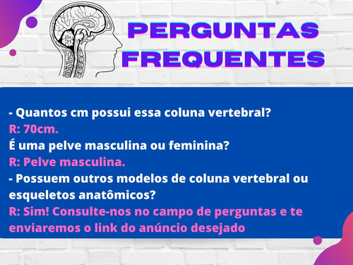 Coluna Vertebral Flexível Tamanho Natural 70cm Profissional