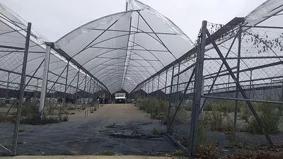 Terreno en renta
