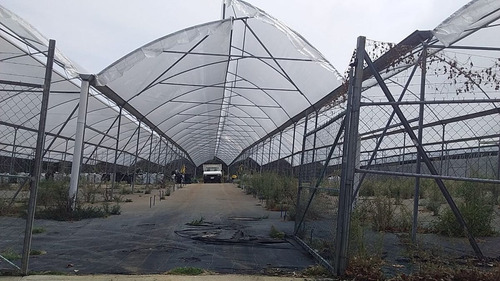 Terreno Comercial En Tetela Del Monte, Cuernavaca, Morelos Caen-836-tco
