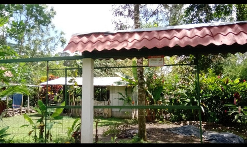 Sarapiqui Horquetas Vendo Propiedad Con Casa