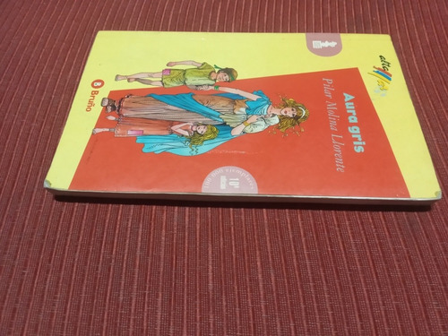 Libro Aura Gris, De Pilar Molina Llorente, Editorial Bruño (Usado)