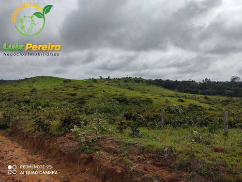 Imagem 5 de 15 de Fazenda À Venda Em Jacunda - Pa - 1.258,4 Hectares (dupla Aptidão) - 2032