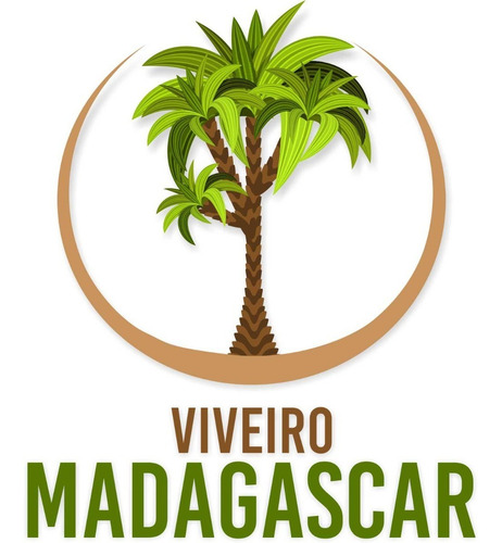 Excelente Muda De Sibipiruna