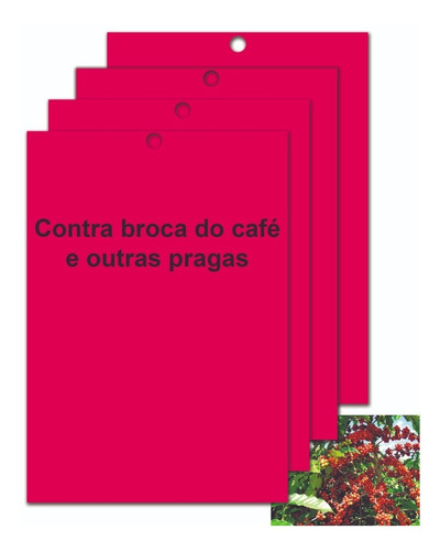 50un A4 Armadilha Contra Broca Do Café Cola 2 Lados Com Isca