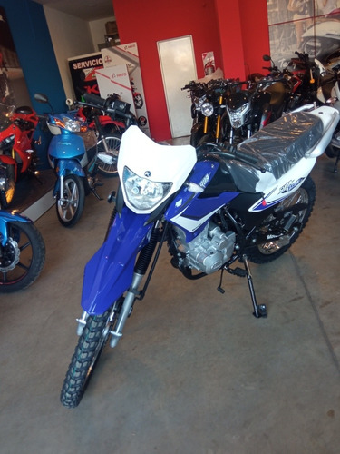 Imagen 2 de 15 de Motomel Skua 150