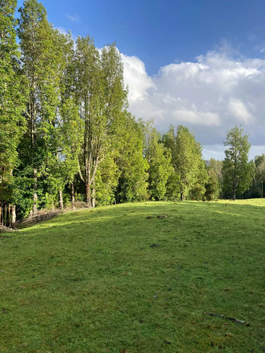 Queilen, 2,8 Ha, Apeche Bajo (121069)
