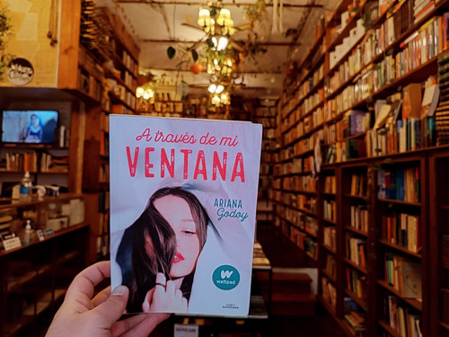 A Través De Mi Ventana. Ariana Godoy. (Usado)