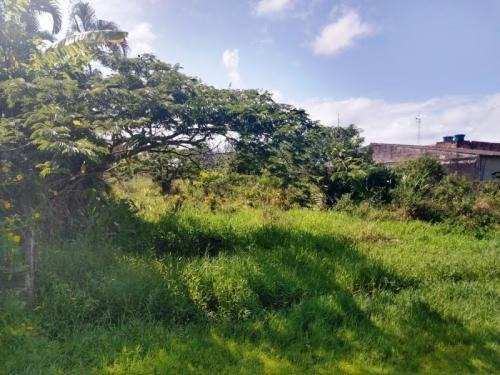 Excelente Lote Em Itanhaém No Balneário Tupy - 6418
